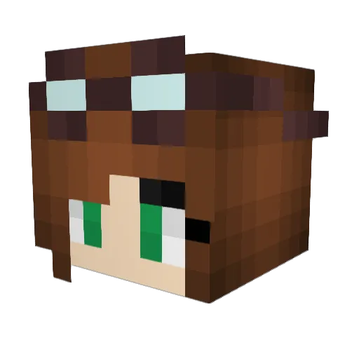coolcat201 Minecraft avatar head, 3D render
