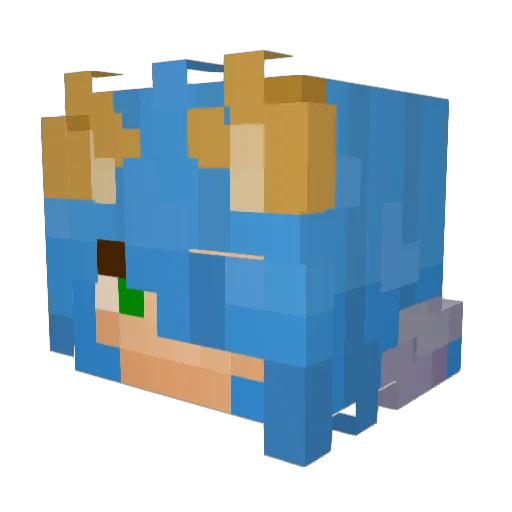 coolcat224422 Minecraft avatar head, 3D render