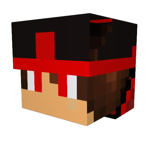 coolcat458 Minecraft avatar head, 3D render