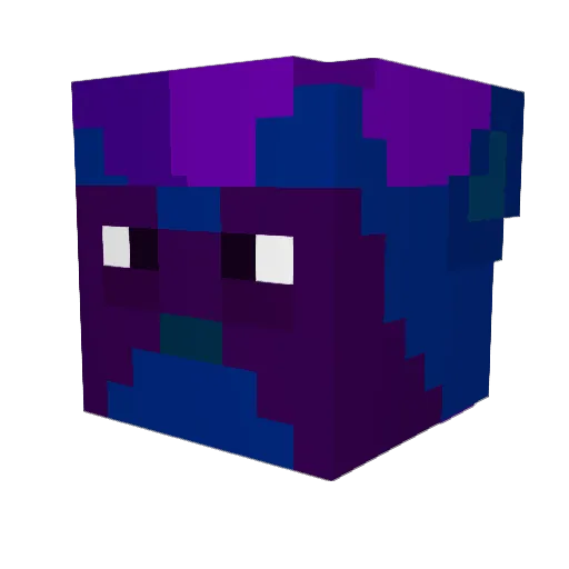 coolcats110 Minecraft avatar head, 3D render