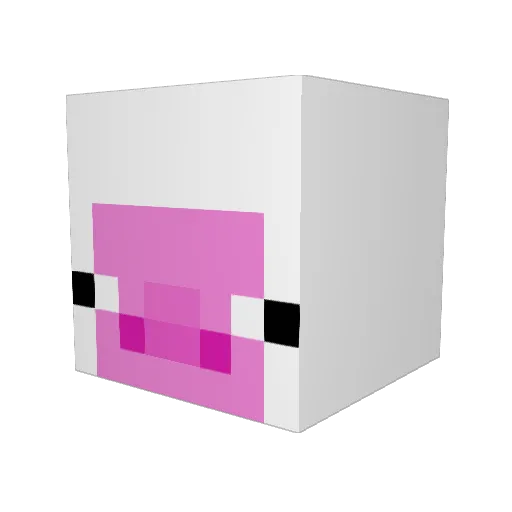 coolcats31 Minecraft avatar head, 3D render