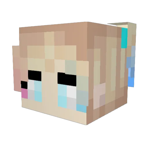 coolchick7414 Minecraft avatar head, 3D render