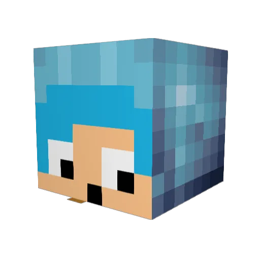 coolconner12344 Minecraft avatar head, 3D render