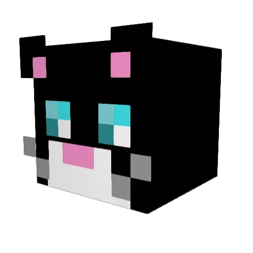 coolcrazycats Minecraft avatar head, 3D render