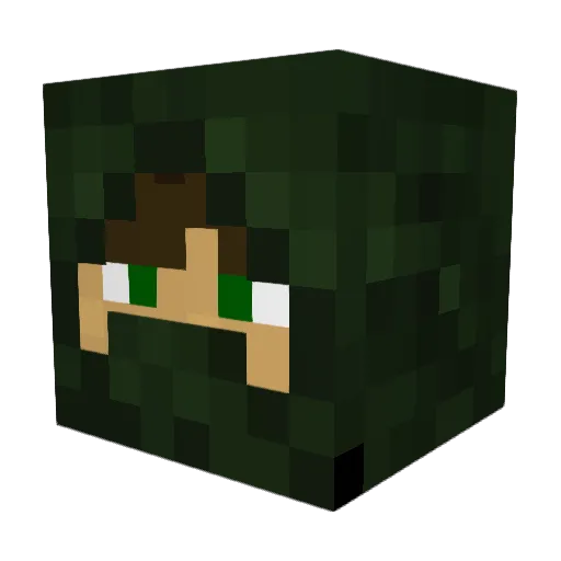 cooldan567 Minecraft avatar head, 3D render