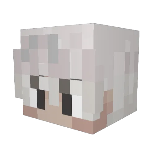 coolderp_123 Minecraft avatar head, 3D render