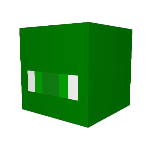 cooldog123 Minecraft avatar head, 3D render