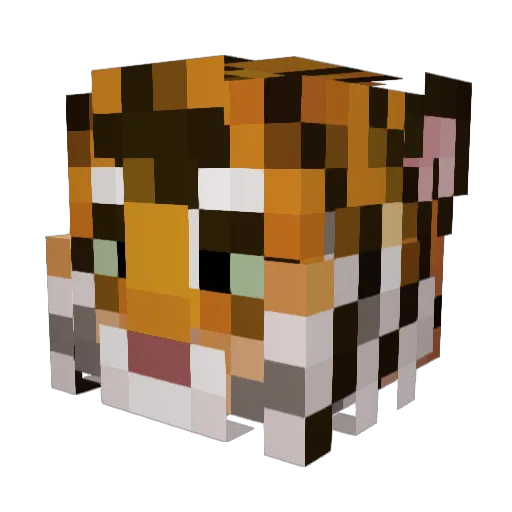 cooldog357 Minecraft avatar head, 3D render