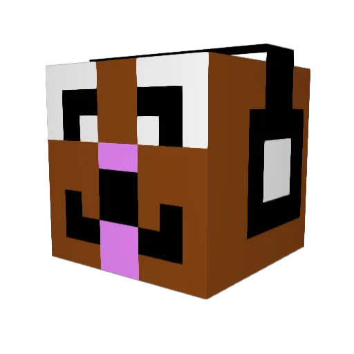 cooldog9 Minecraft avatar head, 3D render