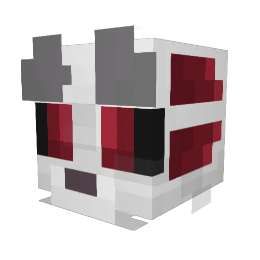 cooldogggy Minecraft avatar head, 3D render