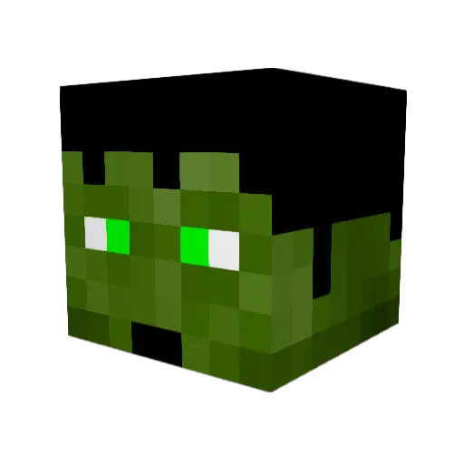 cooldoms Minecraft avatar head, 3D render