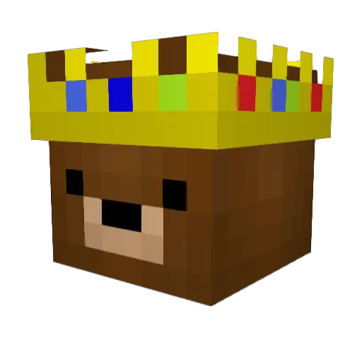 coolducky_ Minecraft avatar head, 3D render
