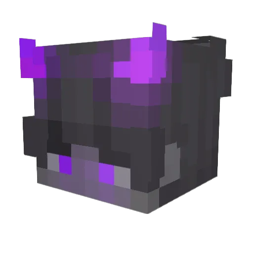 cooldude80 Minecraft avatar head, 3D render