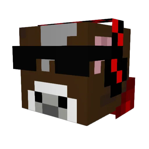 cooldudechris Minecraft avatar head, 3D render