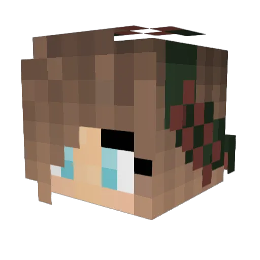 cooleFritte Minecraft avatar head, 3D render