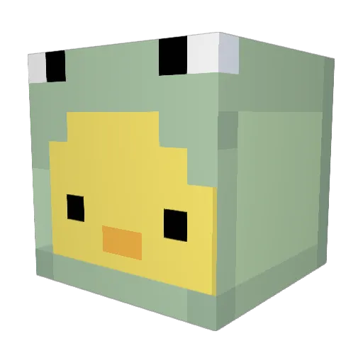cooler5576 Minecraft avatar head, 3D render