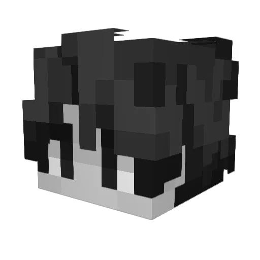 coolerj10 Minecraft avatar head, 3D render