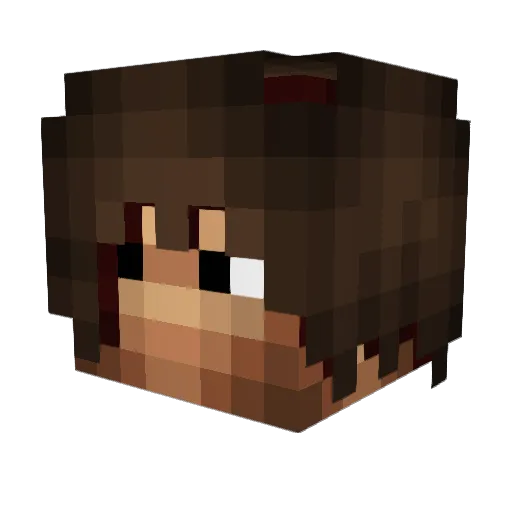 coolest6522 Minecraft avatar head, 3D render