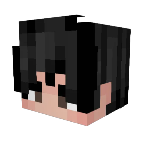 coolestshining Minecraft avatar head, 3D render