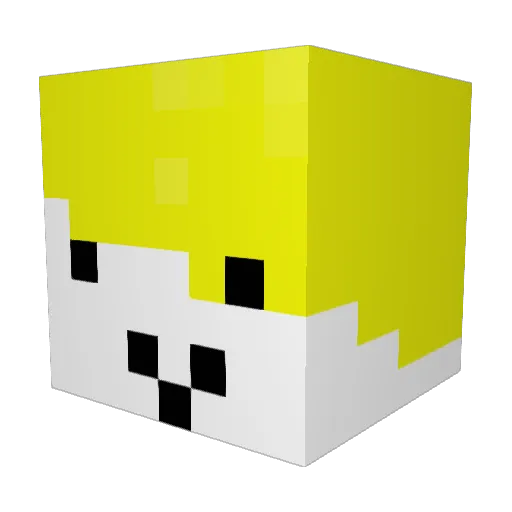 coolfatcat13 Minecraft avatar head, 3D render