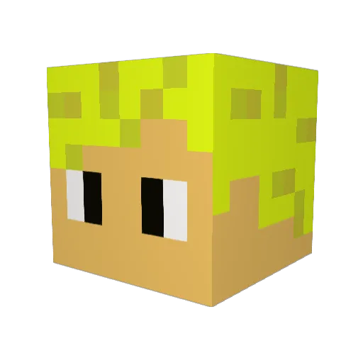coolfather35 Minecraft avatar head, 3D render