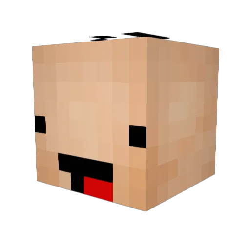 coolfocks Minecraft avatar head, 3D render