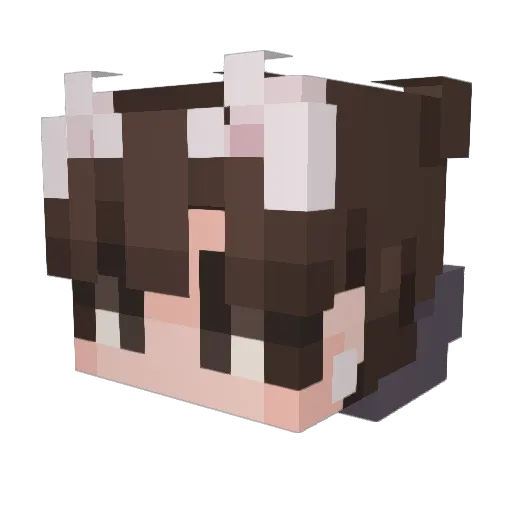 coolforcatzz Minecraft avatar head, 3D render