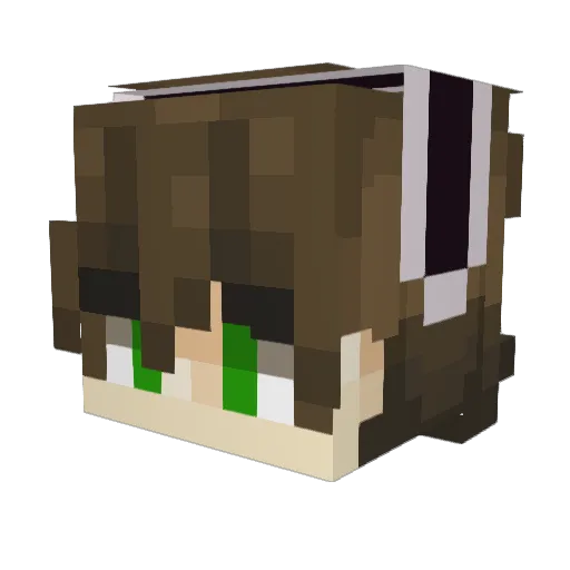 coolfraddy12 Minecraft avatar head, 3D render