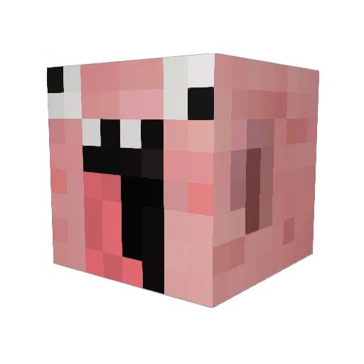 coolgamer99 Minecraft avatar head, 3D render