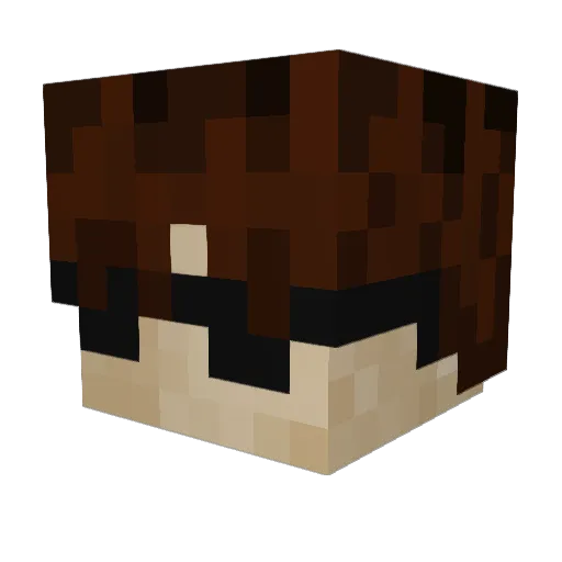 coolgamerjt Minecraft avatar head, 3D render
