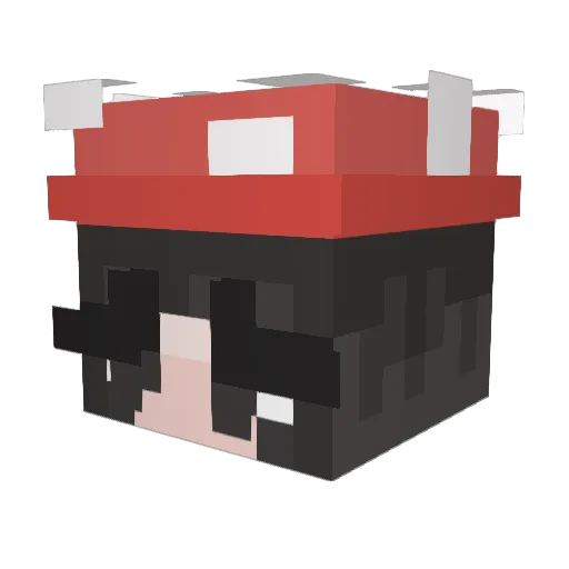 coolgerms Minecraft avatar head, 3D render