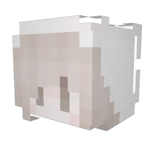 coolgirl55 Minecraft avatar head, 3D render