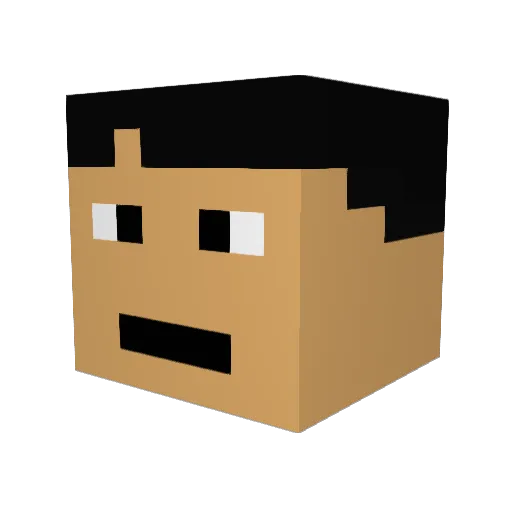 coolguy020 Minecraft avatar head, 3D render