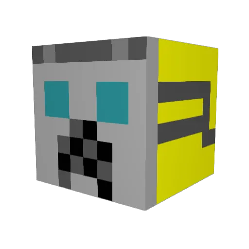 coolguy12323 Minecraft avatar head, 3D render