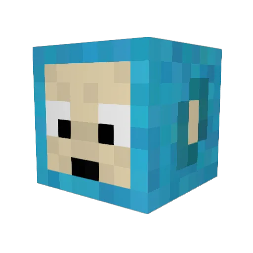 coolguy159 Minecraft avatar head, 3D render
