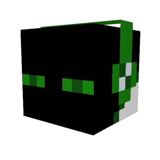 coolguy4555 Minecraft avatar head, 3D render