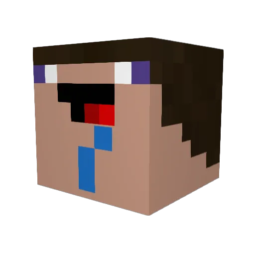 coolguy46575 Minecraft avatar head, 3D render