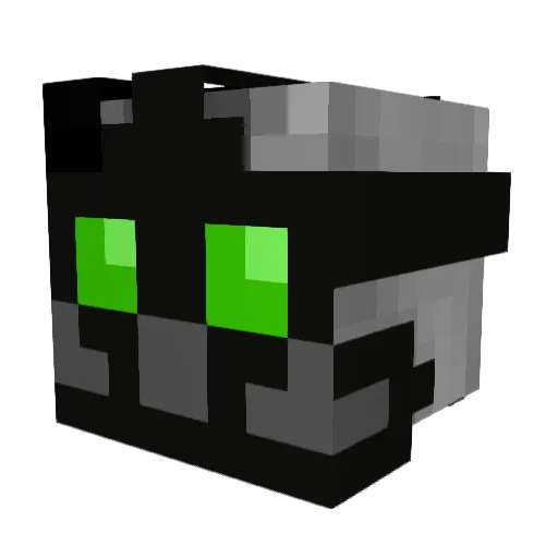 coolguy501 Minecraft avatar head, 3D render