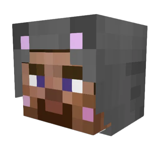 coolguy7323 Minecraft avatar head, 3D render