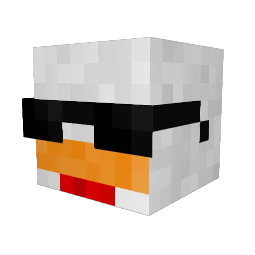 coolguy8724 Minecraft avatar head, 3D render
