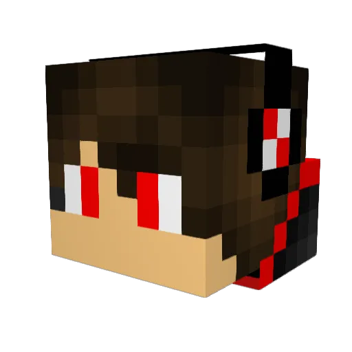 coolguy8885 Minecraft avatar head, 3D render