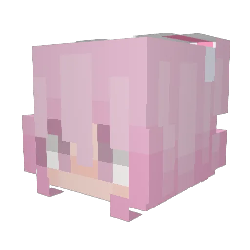 coolguy93 Minecraft avatar head, 3D render