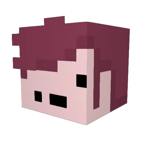 coolguyinator Minecraft avatar head, 3D render