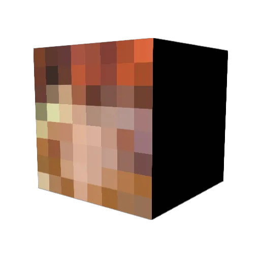 coolguypies Minecraft avatar head, 3D render
