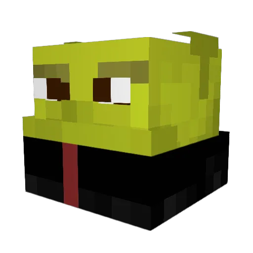 coolguyrobb Minecraft avatar head, 3D render