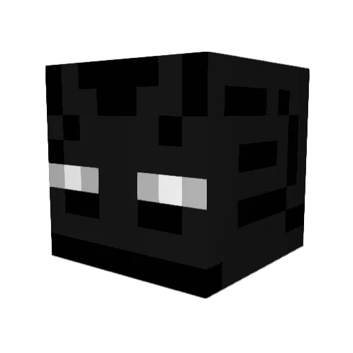 coolguyyt69 Minecraft avatar head, 3D render