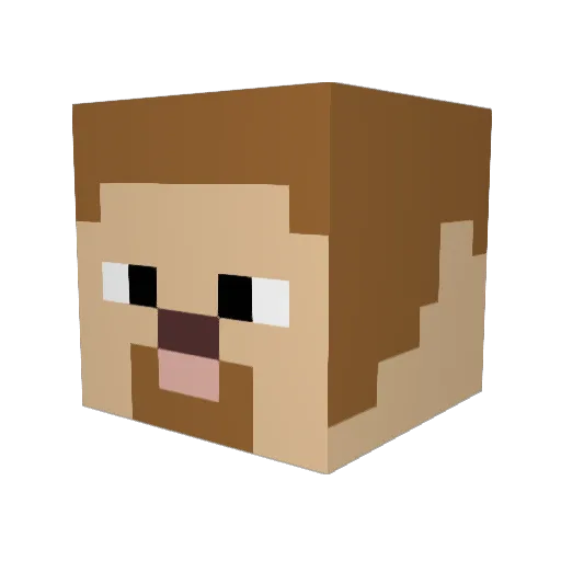 coolham123 Minecraft avatar head, 3D render