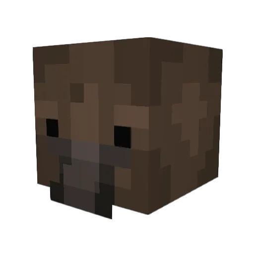 coolhandluke704 Minecraft avatar head, 3D render