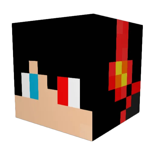 coolho1117 Minecraft avatar head, 3D render
