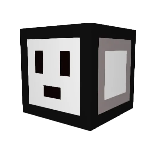 cooli1315 Minecraft avatar head, 3D render